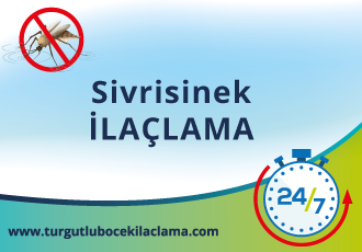 Sivrisinek İlaçlama