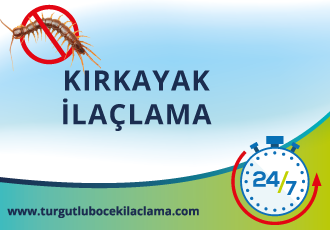 Kırkayak İlaçlama